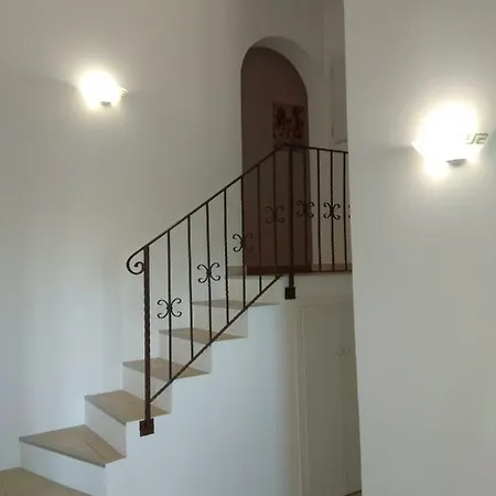 Jeromine * 维琪奥港